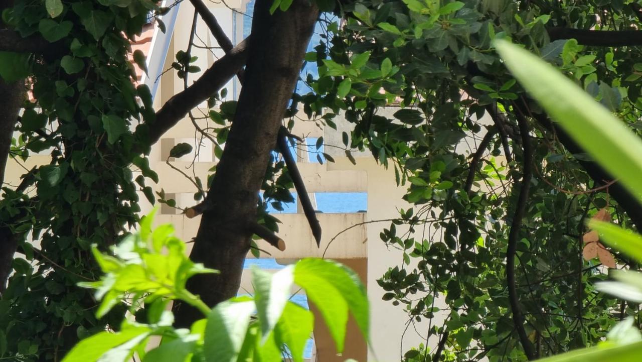 הרצג-נובי Apartment Savina מראה חיצוני תמונה