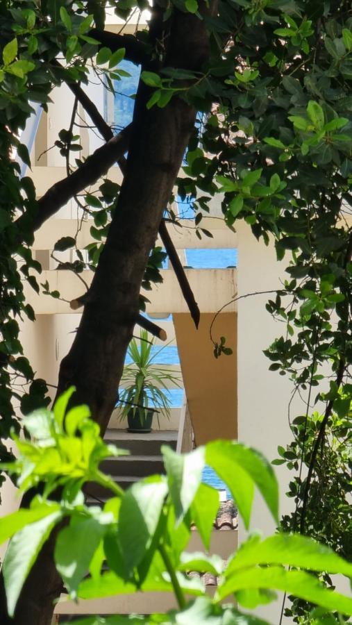 הרצג-נובי Apartment Savina מראה חיצוני תמונה